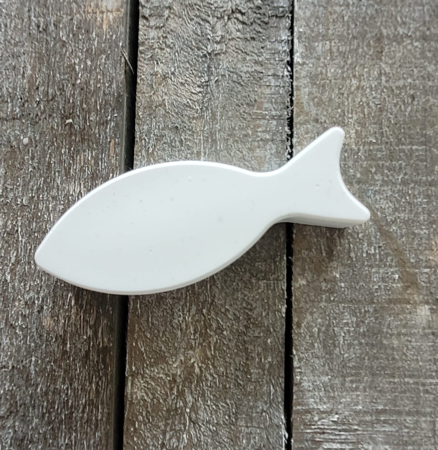 Fische (verschiedene Varianten)