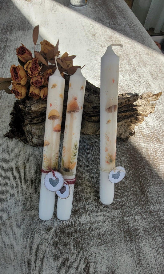 Herbst-Kerzen (verschiedene Varianten)