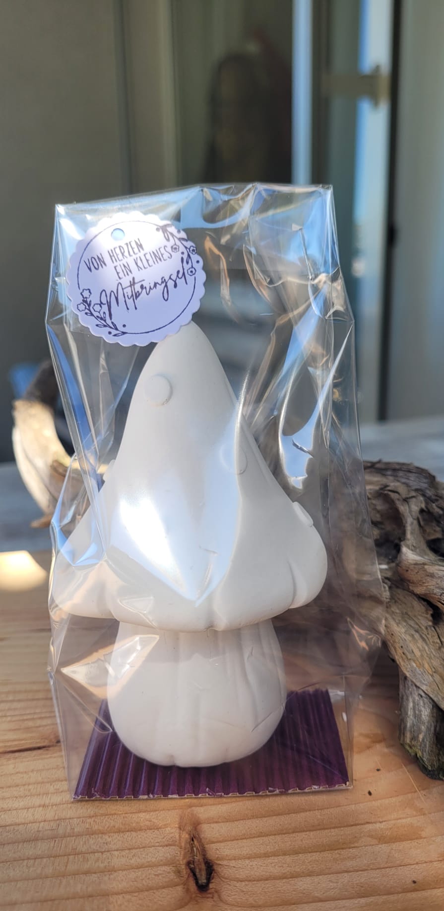 Pilze verschiedenen Varianten