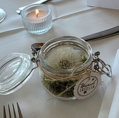 Pusteblume im Einmachglas
