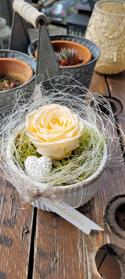 Schale mit stabilisierter Rose